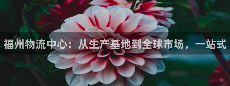 FH至尊开户链接