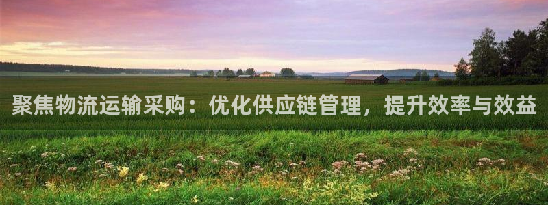 fh至尊是老凤凰吗